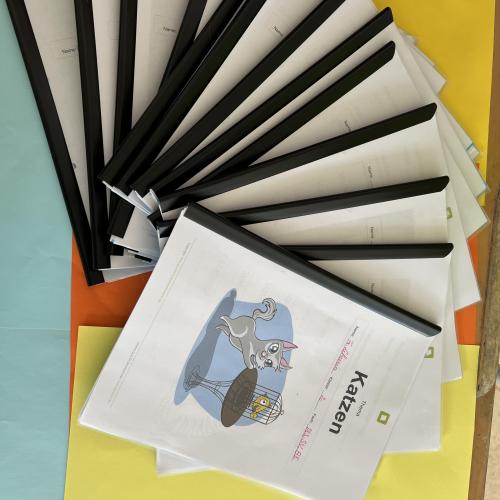 Projekttag