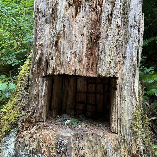 Natur
