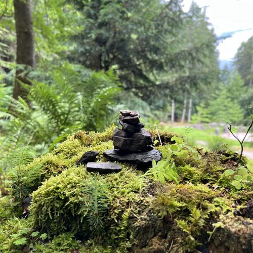  Natur