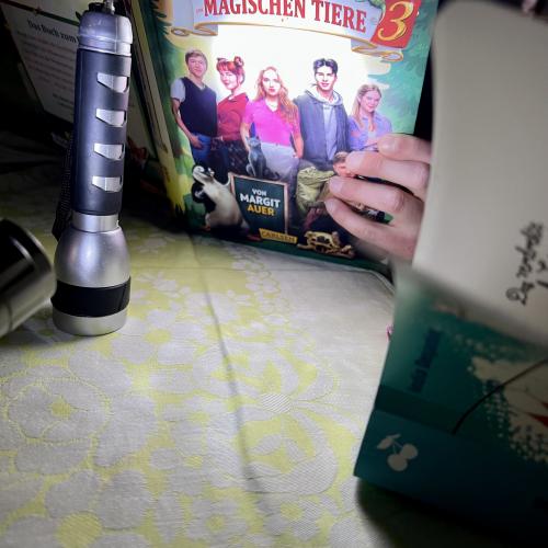 Lesen