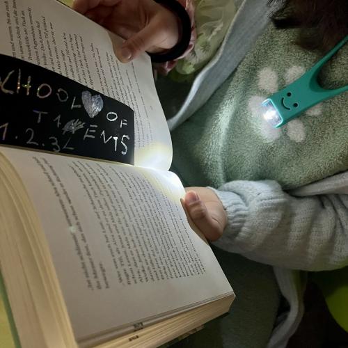 Lesen