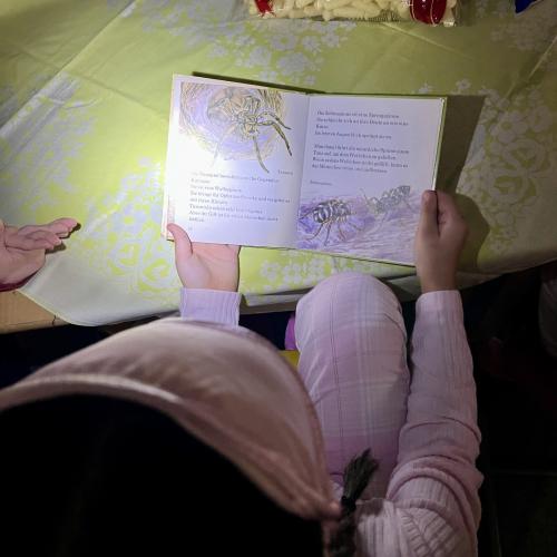 Lesen