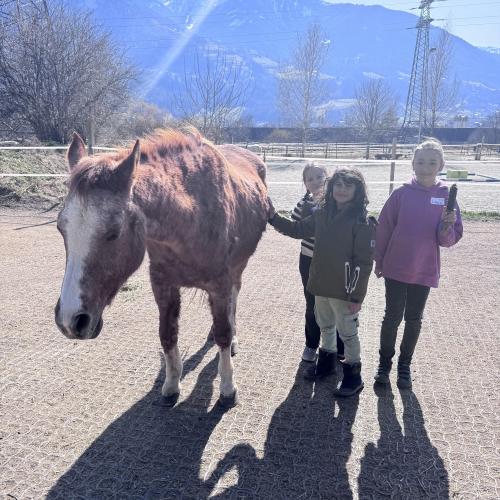 Lunas Ranch