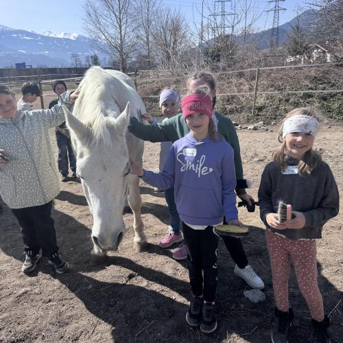 Lunas Ranch
