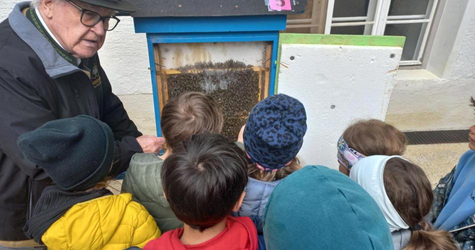 Besuch der Ausstellung 125 Jahre Bienenzuchtverein